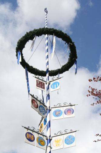 Heimatverein stellt den Maibaum auf