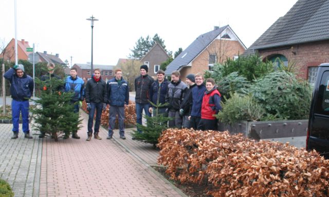 Pfarrjugend sammelt Weihnachtsbäume ein